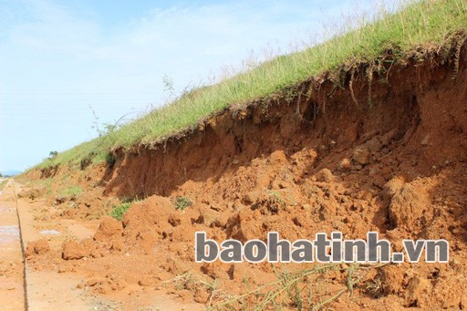 Mái lở suốt chiều dài khoảng 1 km