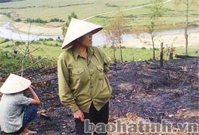 Một số hộ dân ở xã Hòa Hải (Hương Khê) vừa ngang nhiên lấn chiếm đất cao su của doanh nghiệp để trồng keo