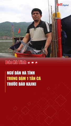Ngư dân Hà Tĩnh trúng đậm 1 tấn cá trước bão Kajiki
