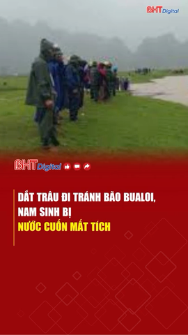 Dắt trâu đi tránh bão, nam sinh bị nước cuốn mất tích