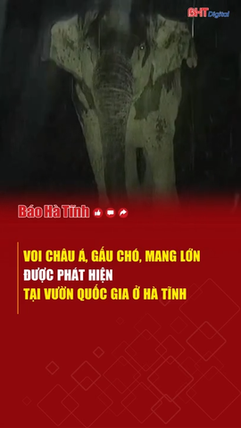 Phát hiện voi châu Á, gấu chó, mang lớn tại vườn quốc gia ở Hà Tĩnh