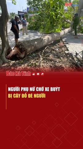 Người phụ nữ chờ xe buýt bị cây đổ đè người