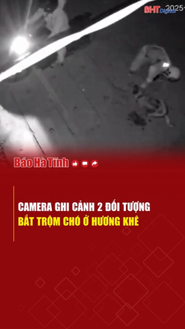 Camera ghi cảnh 2 đối tượng trộm chó lúc rạng sáng ở Hương Khê