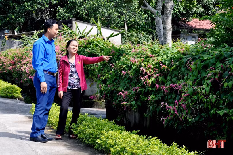 Đẹp ngỡ ngàng những bức tường hoa tigôn trên đường làng Hà Tĩnh