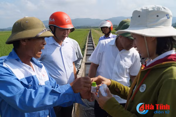 cam xuyen phat hien thuoc phong benh dao on kem chat luong