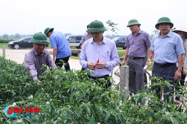 kiem tra sat sao dong ruong phong tru kip thoi dao on co bong