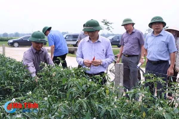 kiem tra sat sao dong ruong phong tru kip thoi dao on co bong