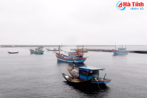 tai dien danh bat hai san o vung ang dn chu tau lo mat an toan