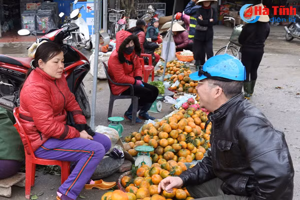 dien tich trong cam phat trien nong bai 2 tiem an nhieu rui ro nguy co vo tran