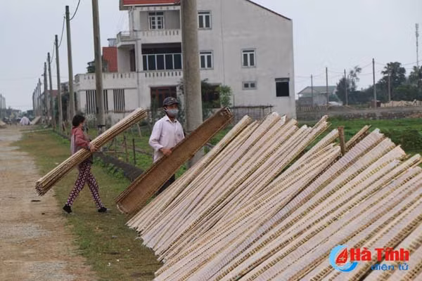 kinh hoang canh banh nem phoi canh bai rac