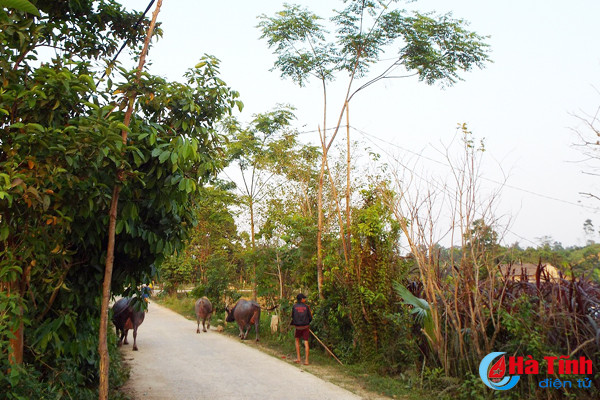 duong day dien co mot khong hai o son tho