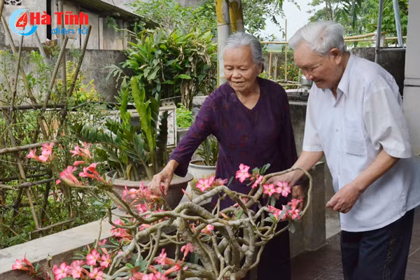 vung chung tich chien tranh tro thanh khu dan cu kieu mau