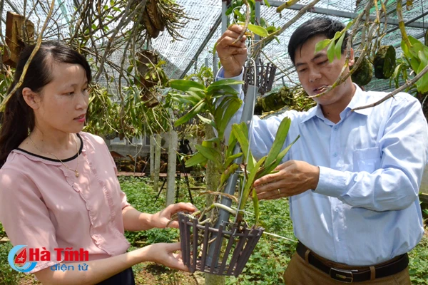 ban tay thay giao ti man danh thuc nhung mam lan