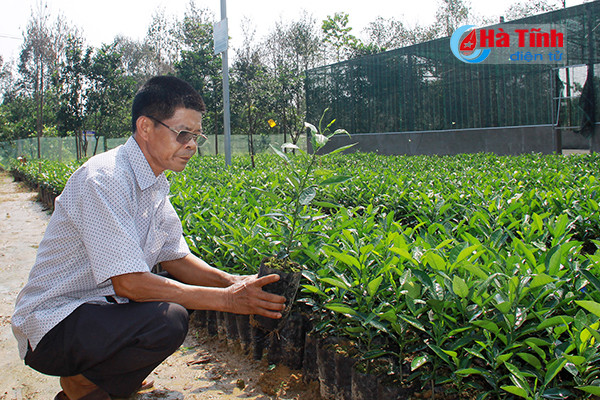 thon nam tra dat giai dac biet cuoc thi khu dan cu ntm kieu mau vuon mau