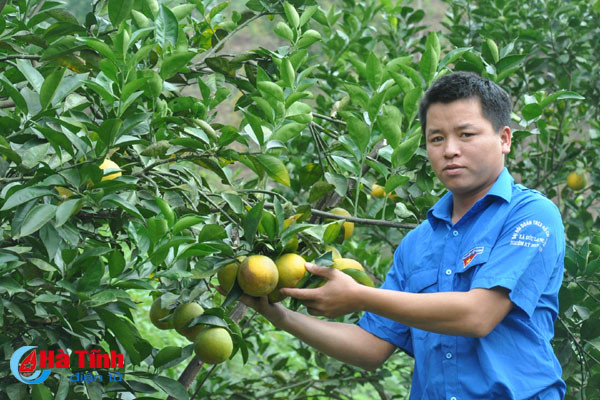 chuyen gia hoc vien nong nghiep giup dvtn ha tinh khoi nghiep