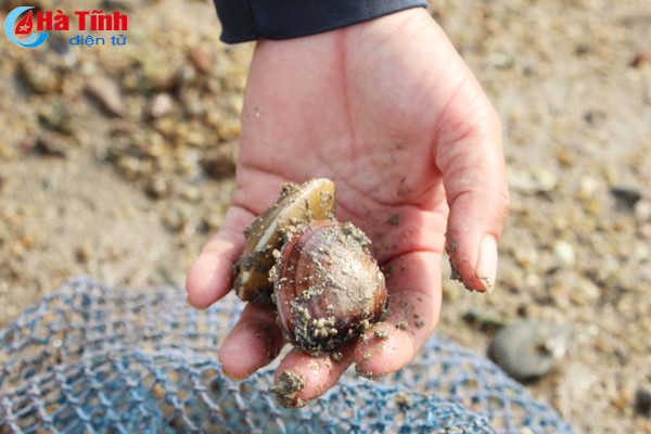 muu sinh theo con nuoc