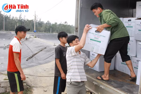 htx nuoi trong thuy san xuan thanh tha 15 trieu con tom giong