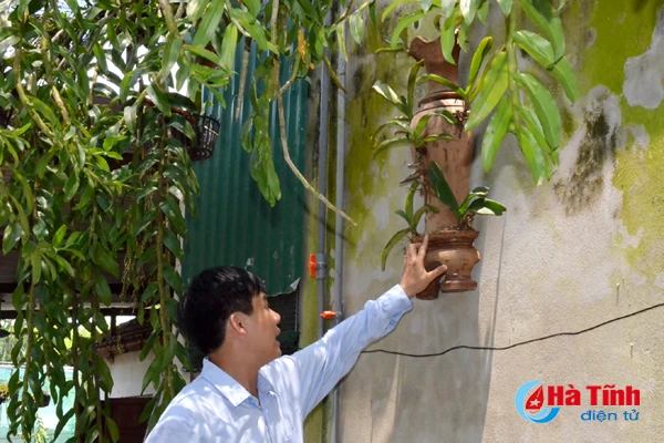 ban tay thay giao ti man danh thuc nhung mam lan