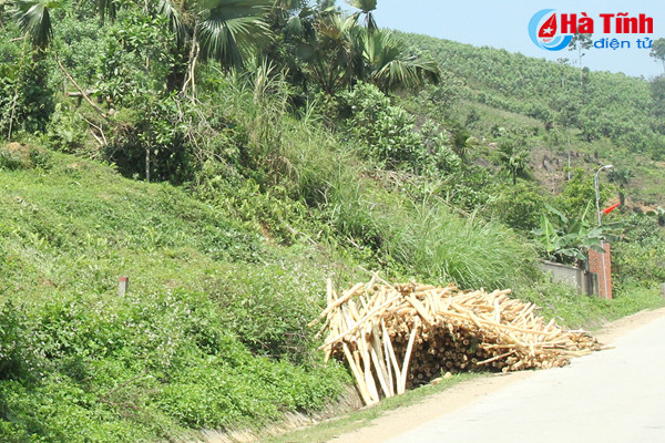 nguy co mat an toan giao thong do tap ket keo ven duong o ha tinh