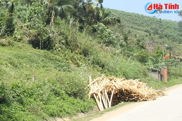 nguy co mat an toan giao thong do tap ket keo ven duong o ha tinh