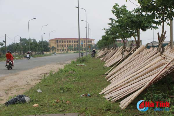 kinh hoang canh banh nem phoi canh bai rac