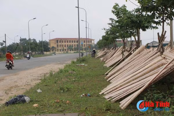 kinh hoang canh banh nem phoi canh bai rac