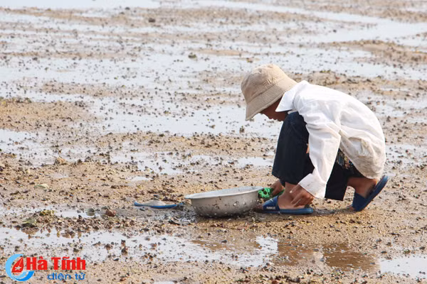 muu sinh theo con nuoc