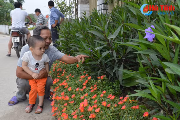 vung chung tich chien tranh tro thanh khu dan cu kieu mau