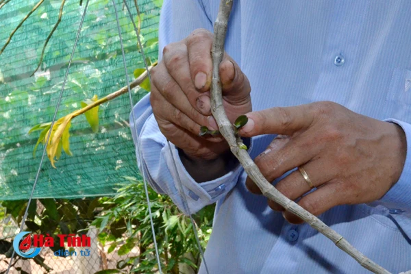 ban tay thay giao ti man danh thuc nhung mam lan