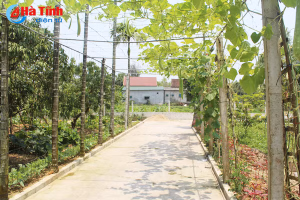 kham pha khu vuon mau dat giai a cua can bo tu phap thach tan