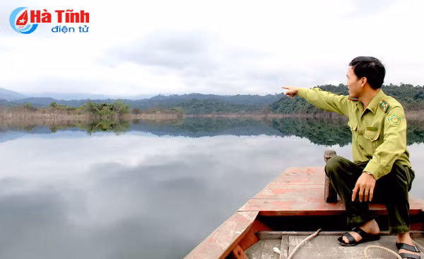 nguoc nguon ngan truoi