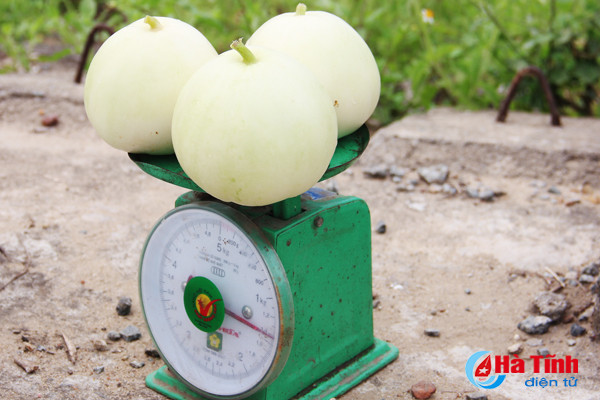 ve thinh loc thuong thuc dua le