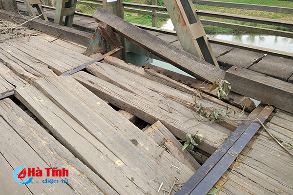 video nin tho qua cau loc yen