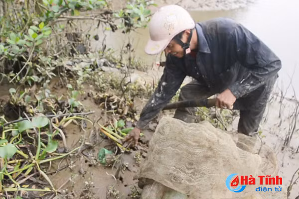 xem nong dan cam xuyen bay cay doc dao bang chai nhua