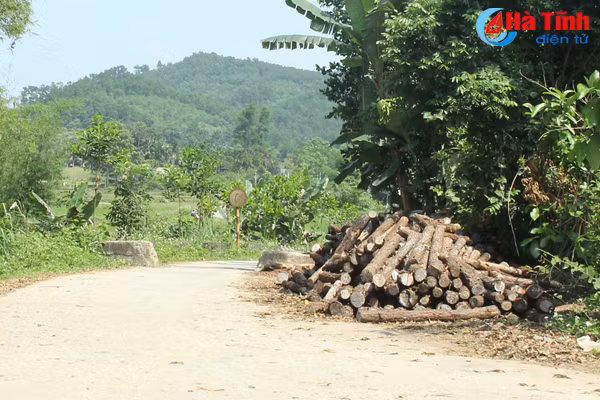 nguy co mat an toan giao thong do tap ket keo ven duong o ha tinh