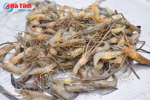 lang chai nho voi nghe dat lu bat tom