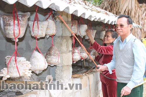 Vợ chồng ông Trần Lực đang chăm sóc nấm. thuong binh tan nhung khong phe