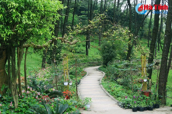 Photo: Độc đáo ngôi chùa nằm trong hang đá ở Hà Tĩnh