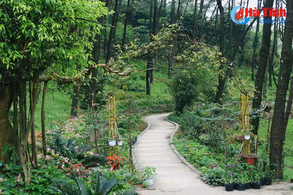 Photo: Độc đáo ngôi chùa nằm trong hang đá ở Hà Tĩnh