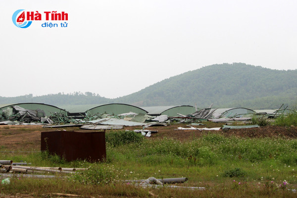 Dự án chăn nuôi bò Bình Hà: "Vắng như chùa bà Đanh"! ảnh 10 Dự án chăn nuôi bò Bình Hà: “Vắng như chùa bà Đanh”!