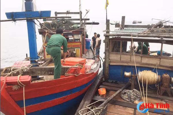 bat 2 tau ca dung kich dien cong suat lon khai thac hai san trai phep