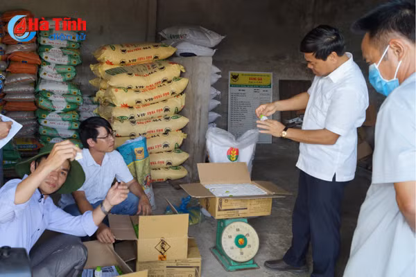 cam xuyen phat hien thuoc phong benh dao on kem chat luong