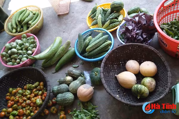 giay khai sinh cho nong san thach ha