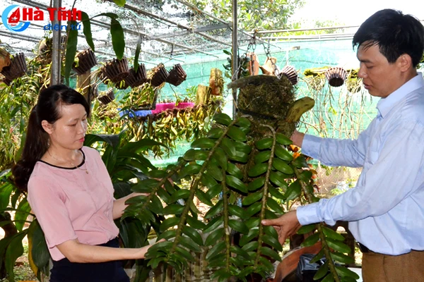 ban tay thay giao ti man danh thuc nhung mam lan