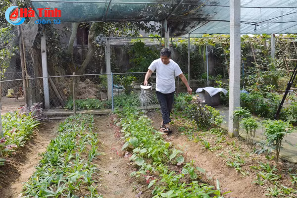 vung chung tich chien tranh tro thanh khu dan cu kieu mau
