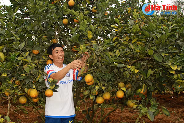 dam say nhung khu dan cu ntm kieu mau mien nui ha tinh