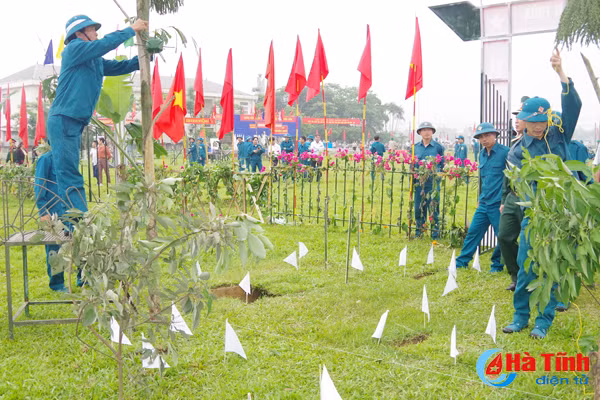 luc luong sao vuong hang say huan luyen