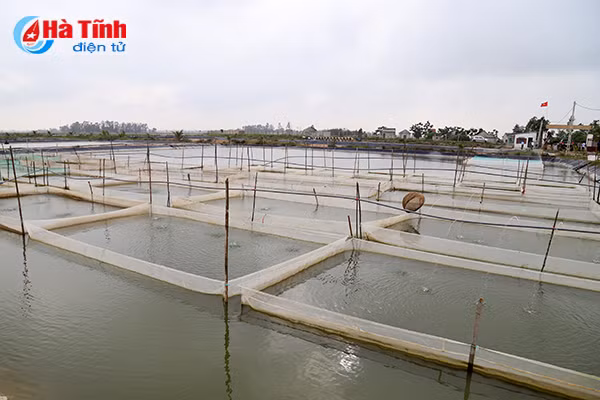 pho thu tuong vuong dinh hue tham quan mo hinh san xuat tai loc ha