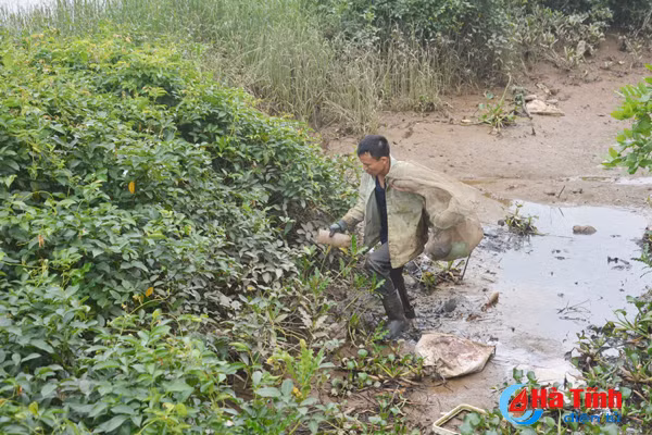 xem nong dan cam xuyen bay cay doc dao bang chai nhua