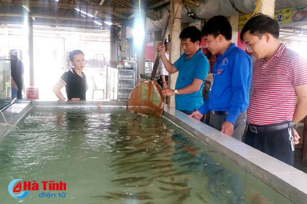 dac san muc nhay da co mat tai loc ha